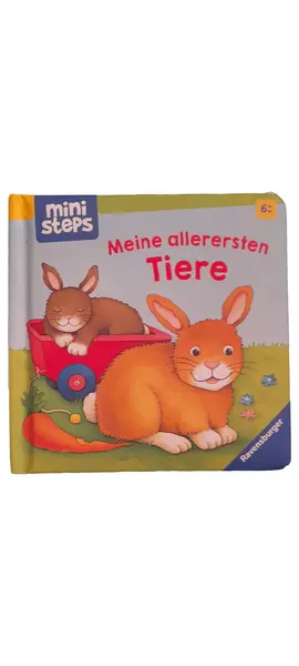 Babybuch
