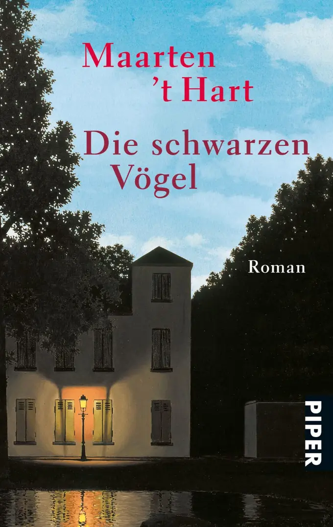 Gesellschaftsroman Bild 1