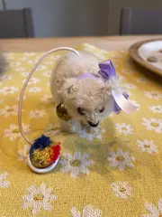 Vorschaubild 2 von Maus Anhänger Baby Kuscheltier Uni Mehrfarbig 7cm