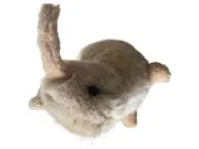 Vorschaubild 1 von Hase Kuscheltier Klassisch Beige 13cm Plüschtier Stofftier