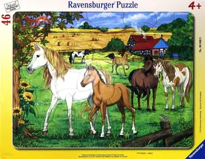 RAVENSBURGER RAHMENPUZZLE Steckpuzzle