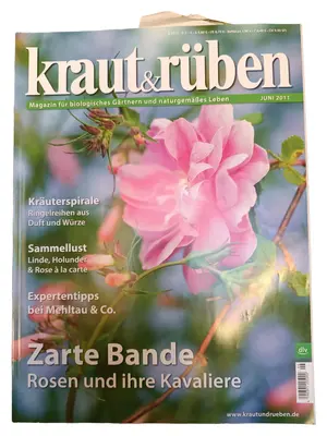 KRAUT & RÜBEN Zeitschrift