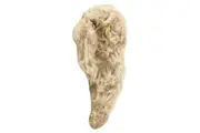 Vorschaubild 2 von Baby Kuscheltier Klassisch Beige Plüschtier Stofftier
