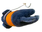 Vorschaubild 2 von Elefant Kuscheltier Baby Plüschtier mit Glocke orange Decke