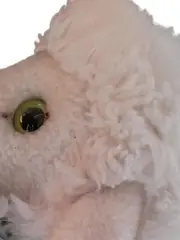 Vorschaubild 2 von Lamm Kuscheltier Schaf weiß Klassisch Plüschtier