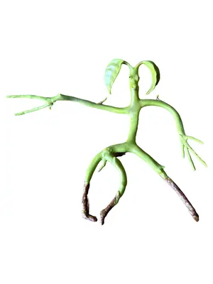 WARNER BROS. ENTERTAINMENT INC. Fan Sammlerstück