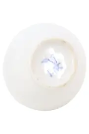 Vorschaubild BAVARIA PORZELLAN Vase 2