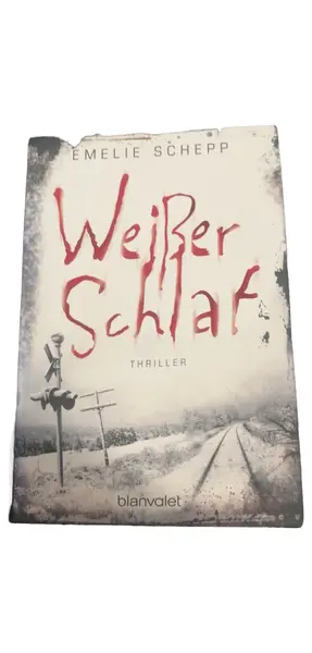 Thrillerbuch
