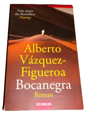 Abenteuerroman