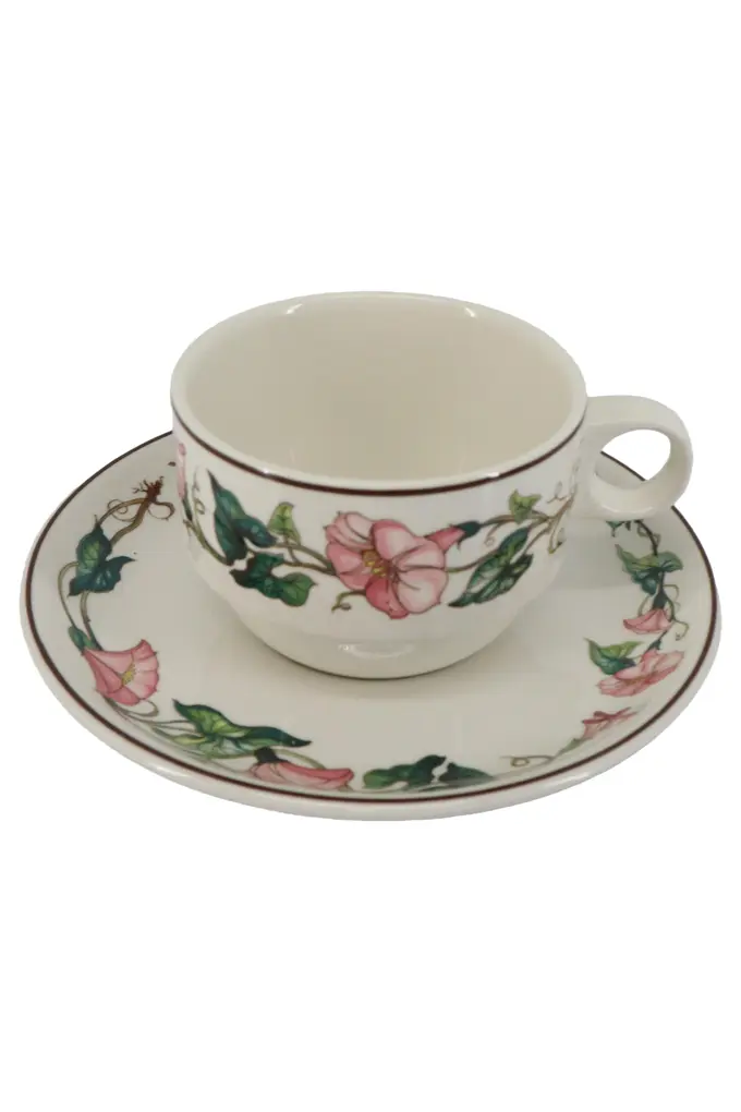 VILLEROY & BOCH Tasse und Unterteller Bild 1