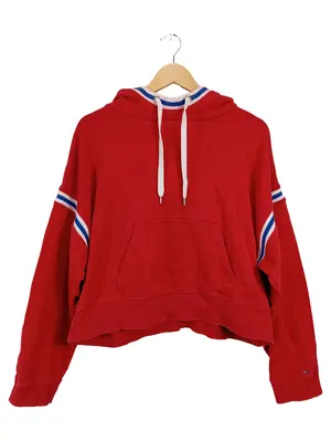 TOMMY JEANS Kapuzenpullover
