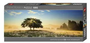HEYE Puzzle