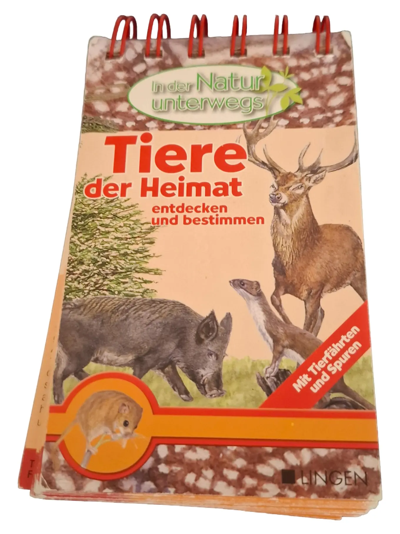 Wieso? Weshalb? Warum? Tiere der Heimat Sachbuch Kinder Taschenbuch Lingen