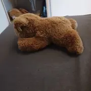 Vorschaubild 3 von Kuscheltier Bär liegend braun Klassisch ca. 15 cm