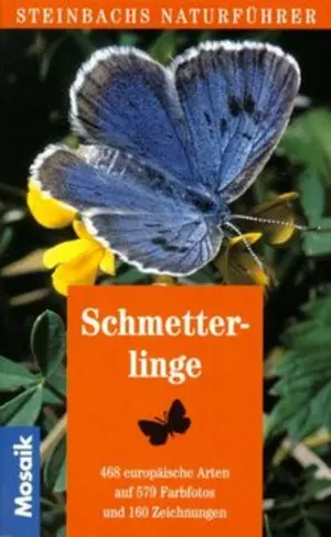 Hobbybuch