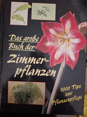 Weihnachtsbuch