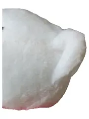 Vorschaubild 3 von Plüsch Eisbär mit Schal Kuscheltier Weiß Rot 11cm