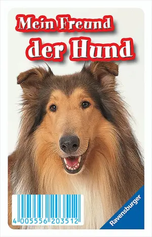 RAVENSBURGER Kartenspiel