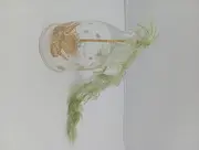 Vorschaubild 1 von Studio-Linie Weihnachtsglocke Björn Wiinblad Engel Gold Glas