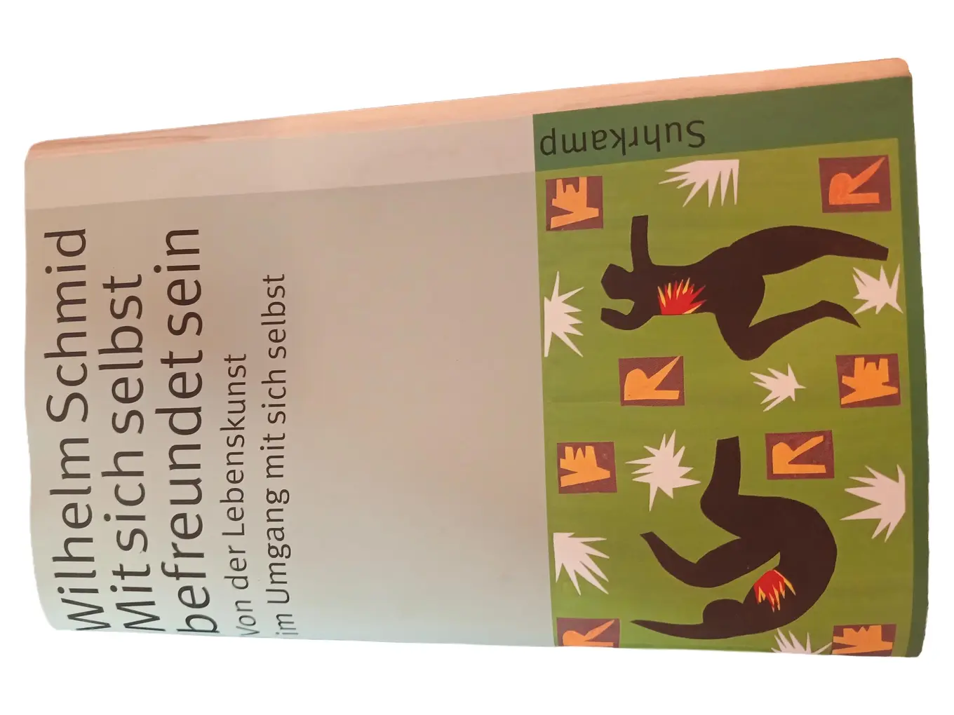 Wilhelm Schmid Mit sich selbst befreundet sein Selbsthilfe Buch Achtsamkeit