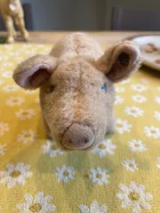 Vorschaubild 4 von Schwein Plüschtier Beige Kuscheltier 11cm Sammler Rarität