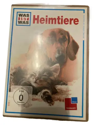 Film zum Lernen