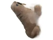 Vorschaubild 1 von Walross Kuscheltier Plüschtier Braun 10 cm Klassisch