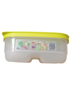 TUPPERWARE Aufbewahrungsbox