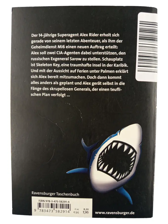 Abenteuerroman Bild 2