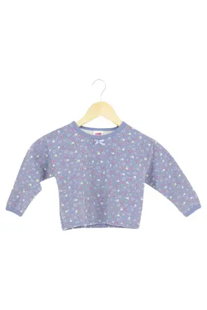HANES Sweatshirt
