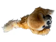 Vorschaubild 1 von Kuscheltier Hund Stofftier Braun Klassisch 11 cm Plüschtier