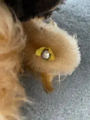 Vorschaubild 2 von Kuscheltier Hund Stofftier Braun Klassisch 11 cm Plüschtier