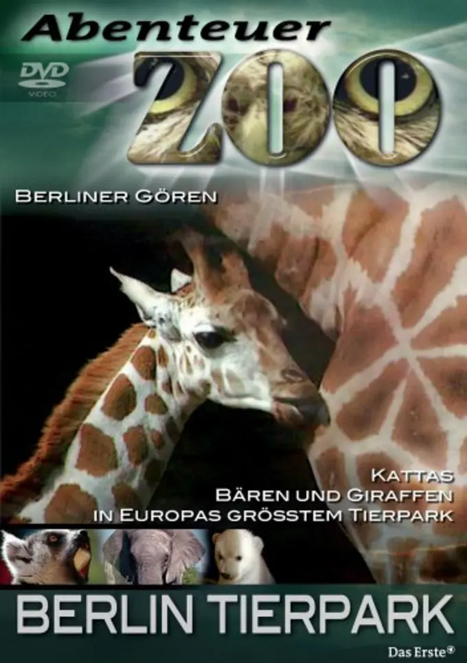Dokumentation Bild 1