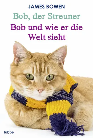 Allgemeines Sachbuch