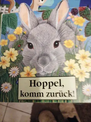 Buch für Kinder