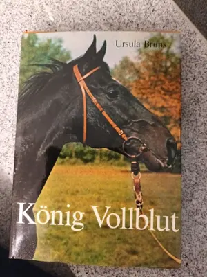 Buch für Jugendliche