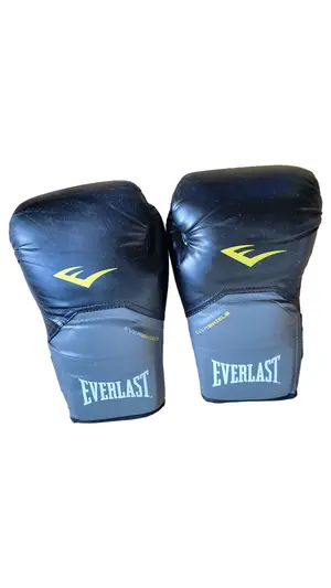 EVERLAST Boxhandschuhe