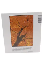 Vorschaubild Philosophisches Buch 2