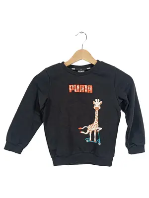 PUMA Pullover