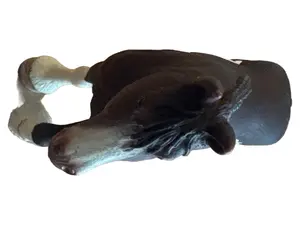 SCHLEICH Schleich Spielfigur