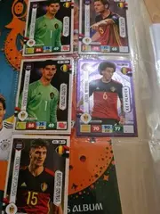 Vorschaubild PANINI Fanartikel 3
