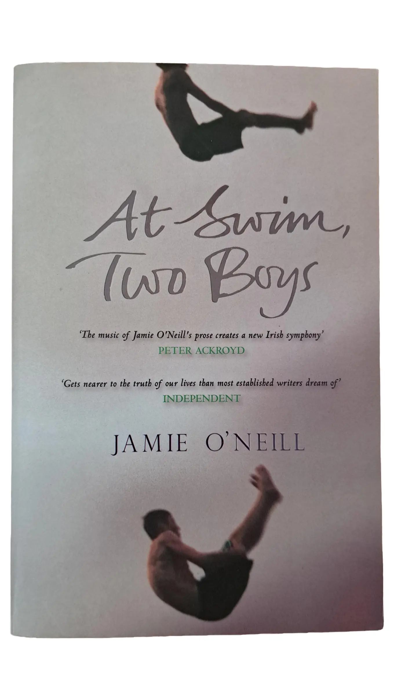 At Swim, Two Boys Roman Jamie O'Neill Taschenbuch LGBTQ+ Identität Englisch