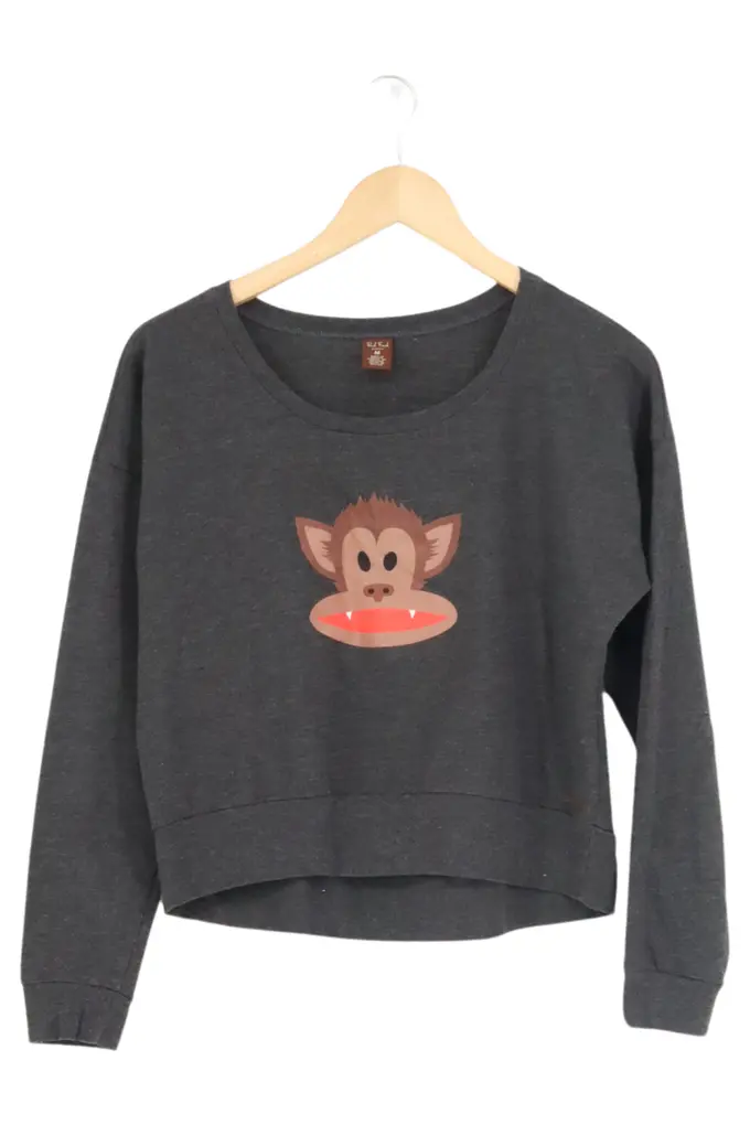 PAUL FRANK Sweatshirt Bild 1