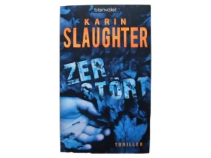 Thrillerbuch Bild 1