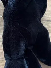 Vorschaubild 4 von Panther Plüschtier 5370/28 Schwarz 43cm Made in Germany