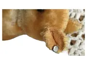 Vorschaubild 2 von Hamster Kuscheltier Plüschtier Vintage Braun 9 cm Sammler Tier