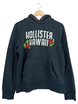 HOLLISTER Kapuzenpullover