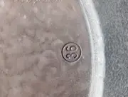 Vorschaubild TAMARIS Stiefel 4