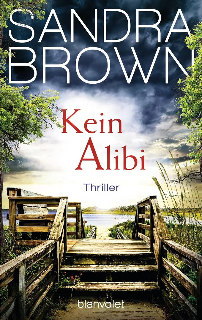 Thrillerbuch Bild 1