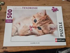 NATHAN Puzzle